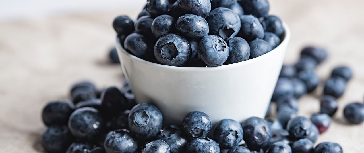 Pampuchy w sosie borówkowym