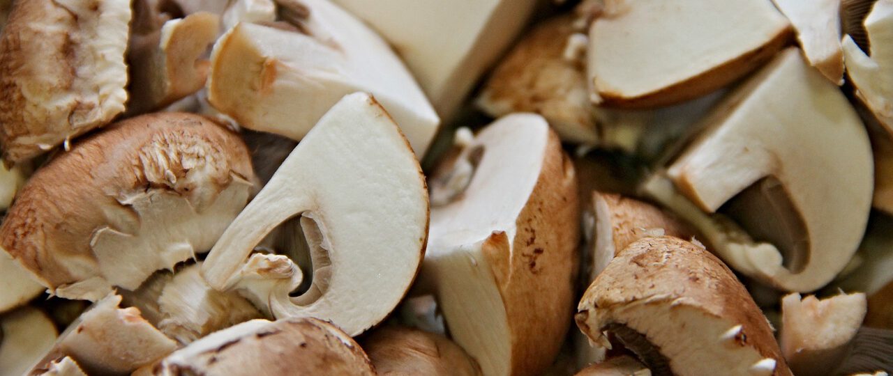 Duszone grzyby leśne