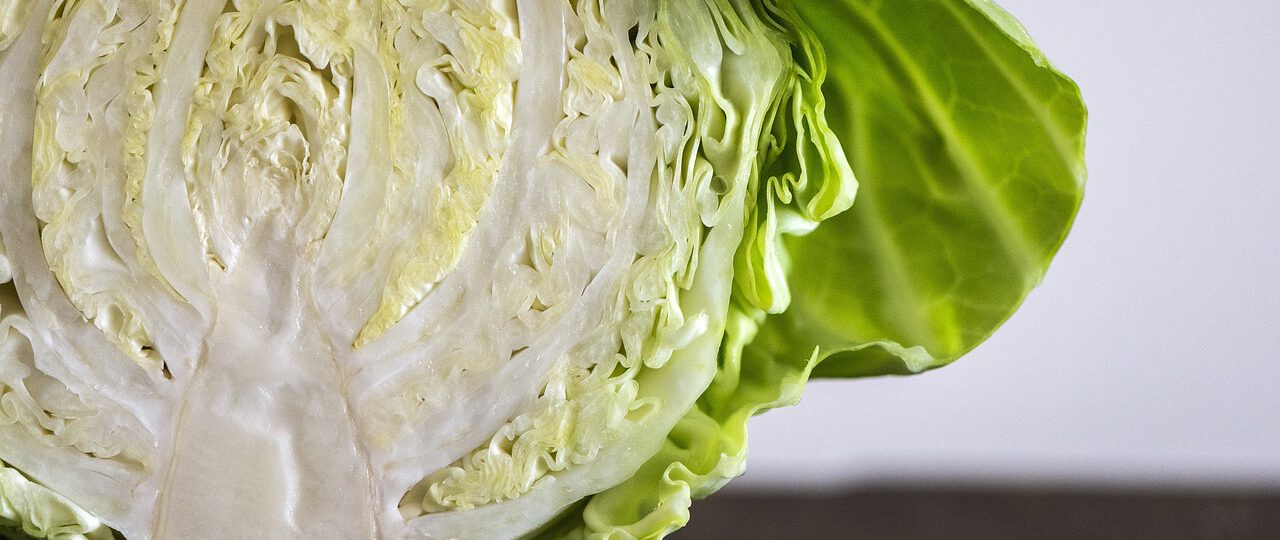 Surówka z młodej kapusty