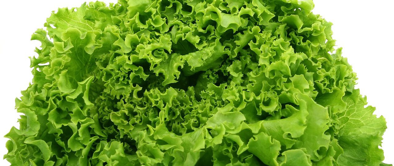 Zielona sałata z sosem jogurtowym