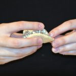 Przepis na farsz do pierogów z mięsem