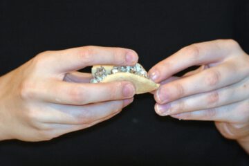 Farsz z kapusty i mięsa