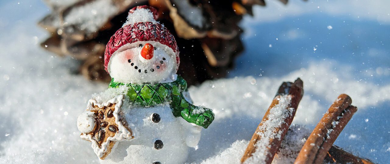 Mały bałwanek na śniegu