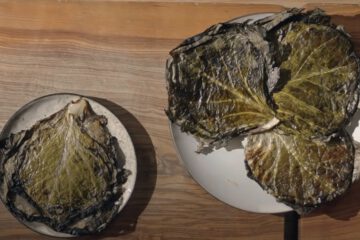 Beskidzkie podleśniki