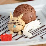 Czekoladowy kot z lodów