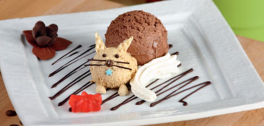Kot z lodów – czekoladowy deser
