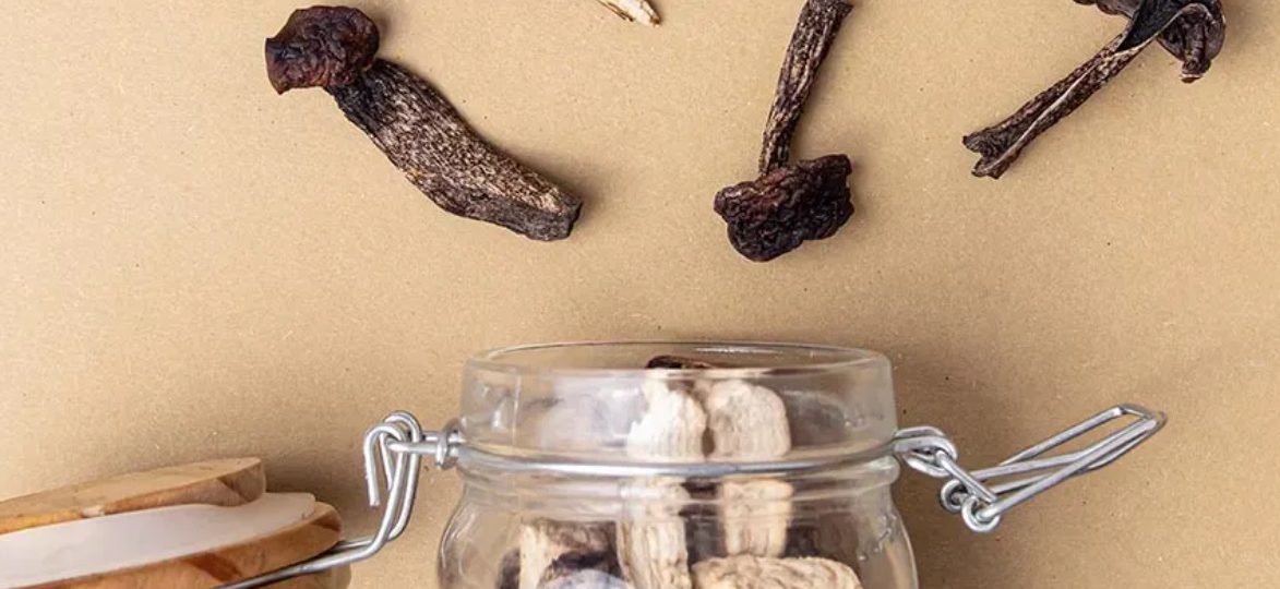 Sos z suszonych grzybów